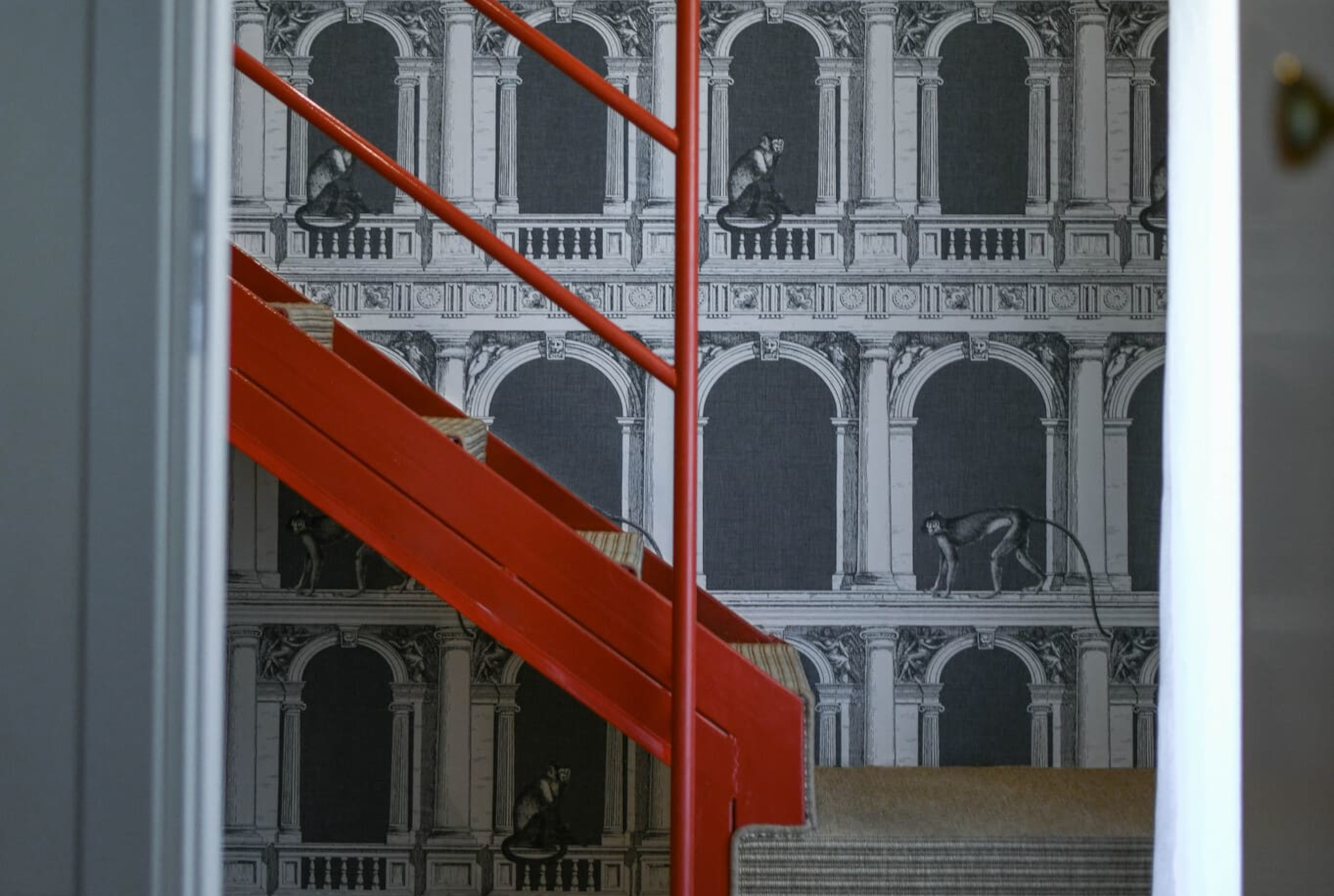 Copia di DSC_5546