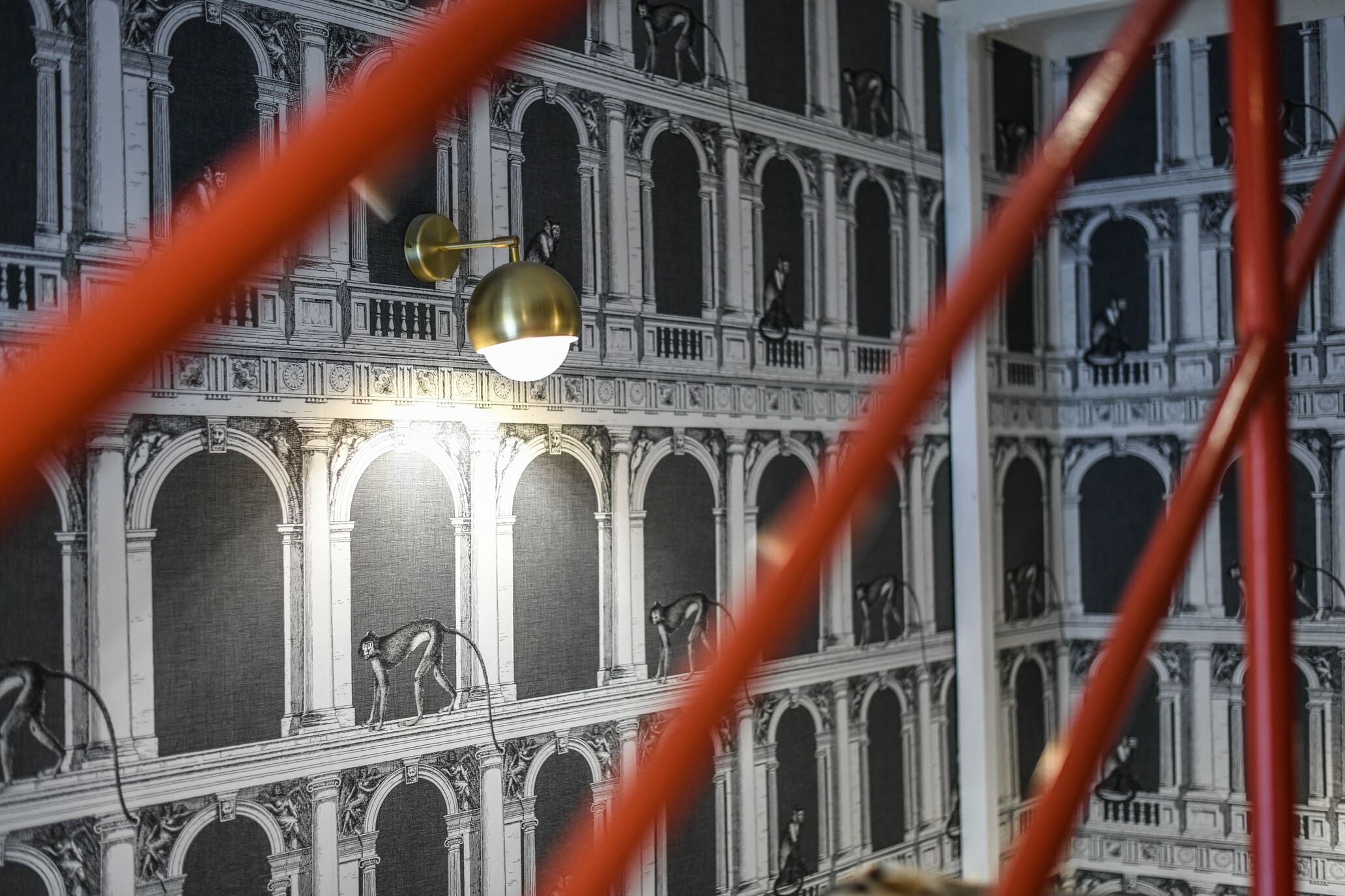 Copia di DSC_5552