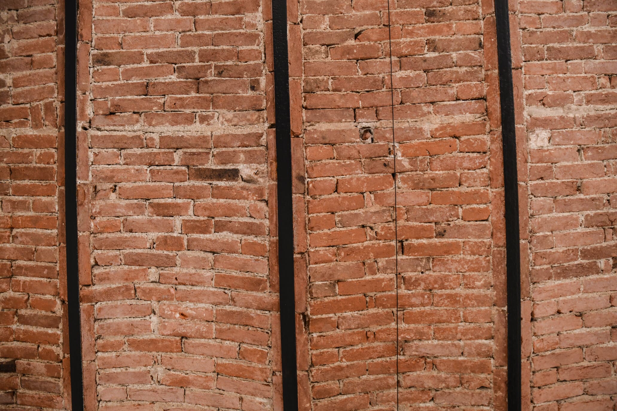 Copia di DSC_5619